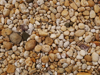 vintage concrete floor texture background,dirty cement wall