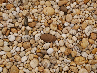 pebbles on the beach,stone background
