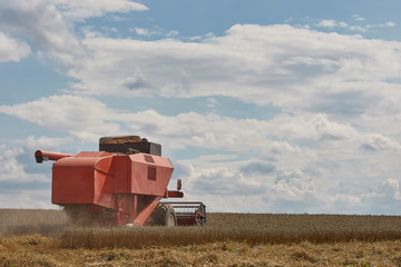 Obraz premium Harvest