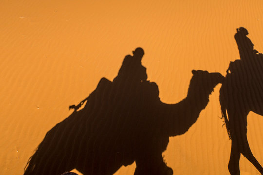 Camel caravan shaddows in Sahara desert, Morocco