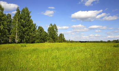 Landscape near Gagarin. Smolensk Oblast. Russia