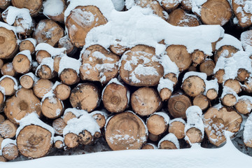 Holz im Wald bedeckt mit Schnee im Winter