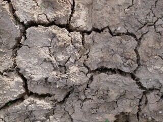 cracked earth texture