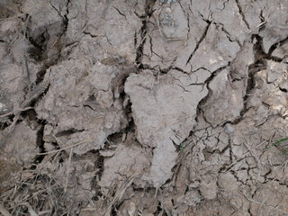 cracked wall texture