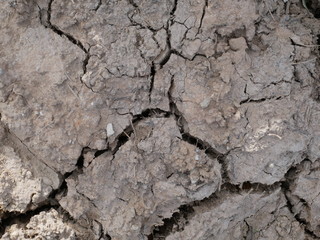 cracked earth texture