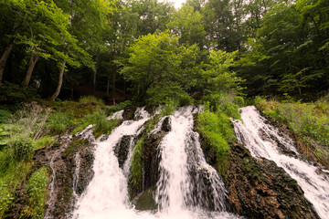 waterfall in forest