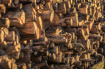 Stock of stacked old dry wooden logs