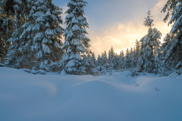 Sonnenuntergang im Winter Wald mit Schnee