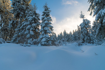Sonnenuntergang im Winter Wald mit Schnee