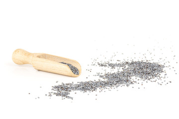 Lot of whole fresh czech blue poppy seeds with wooden spoon isolated on white background