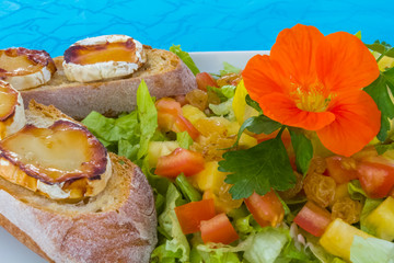 Tartine de chèvre chaud sur lit de salade