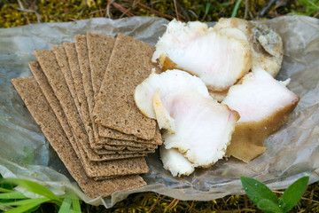 Salted lard and crackers food on the nature. Salty pig fat and dry rye bread tourist lunch on a hike.