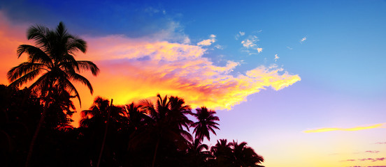 Fototapeta na wymiar Tropical sunrise with coconut palm trees. Travel background.
