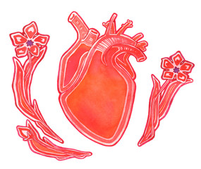Watercolor human heart with flowers on white