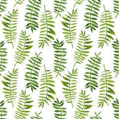 Watercolor hand-painted botany tropical leaves illustration seamless pattern on white background