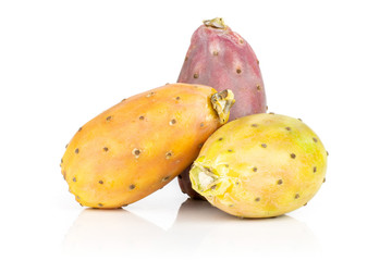 Group of three whole orange yellow red fresh bright prickly pear opuntia isolated on white background