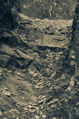 rock path in black and white