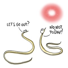 Two worms want to go out