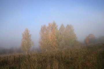 Autumn landscape with fog.