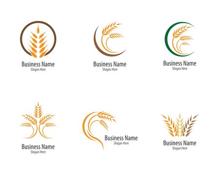 Wheat logo icon