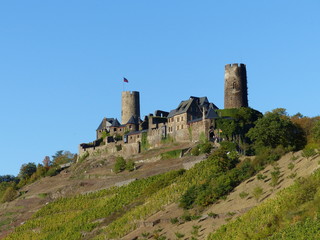 Fototapeta na wymiar Burg Thurant von nahem mit Weinbergen in Alken / Mosel