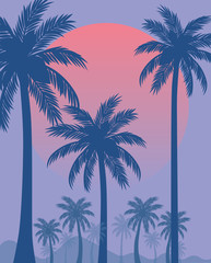 Fototapeta na wymiar palm sun illustration