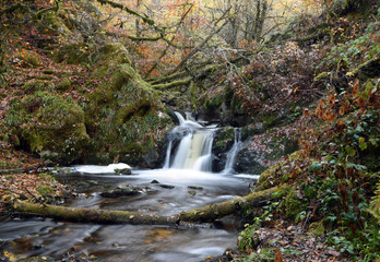 Small mountain river and waterfall in autumn forest - obrazy, fototapety, plakaty