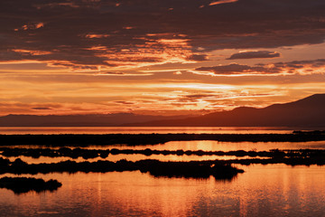 Obraz premium Sunset golden hour in in Delta del Ebro natural Park, Tarragona, Catalunya, Spain.