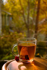 Glass cup of black tea with teabag vaporing on table, autumn trees in background