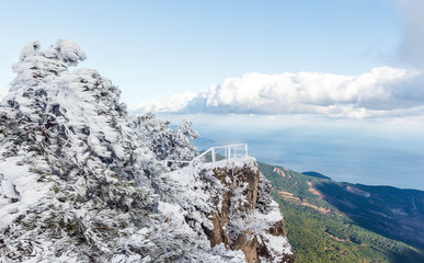 View from a snow-covered mountain peak to a green forest and the sea
