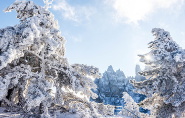 Snow-covered mountain forest. Winter landscape.	 The top of Ai-Petri Mountain.
