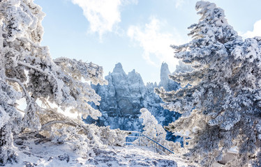 Snow-covered mountain forest. Winter landscape. The top of Ai-Petri Mountain.	