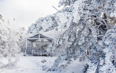 Wooden gazebo for relaxation. Gazebo in a snow-covered mountain forest. Trees covered with snow.