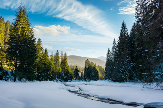 frozen mountain river among the forest in winter. spruce trees and riverbank covered with snow. gorgeous cloudy sky above the distant ridge in evening light