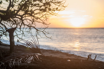 Fototapeta na wymiar Lever de soleil sur les caraibes