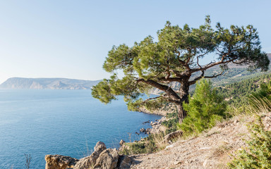 Black Sea coast, Crimea