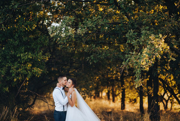 A young bridegroom embraces a beautiful bride at sunset, in sunny weather. Smiling newlyweds are standing in a yellow field. Wedding evening photo. Family natural portrait.