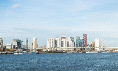Fototapeta premium skyline from rotterdam with the meuse river