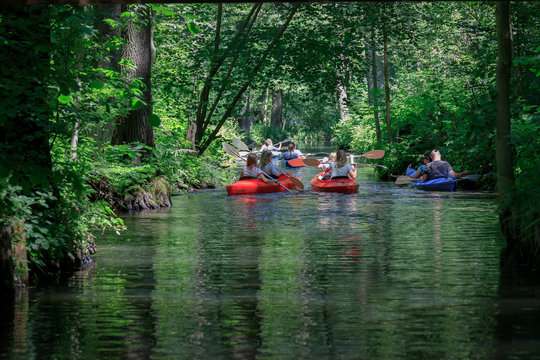 Paddeln im Spreewald