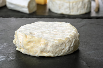 close up of french cheese Saint Marcellin on black slate