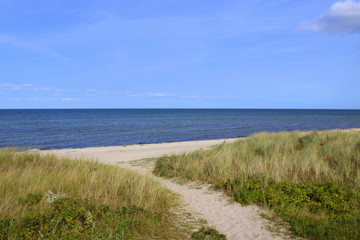 Fototapeta na wymiar Ostsee, Strand, Urlaub, Erholung, Natur, Küste