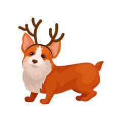 Obraz premium Funny corgi dog with reindeer horn hoop. Adorable home pet. Domestic animal. Flat vector element for postcard