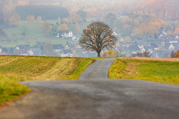 Herbstliches