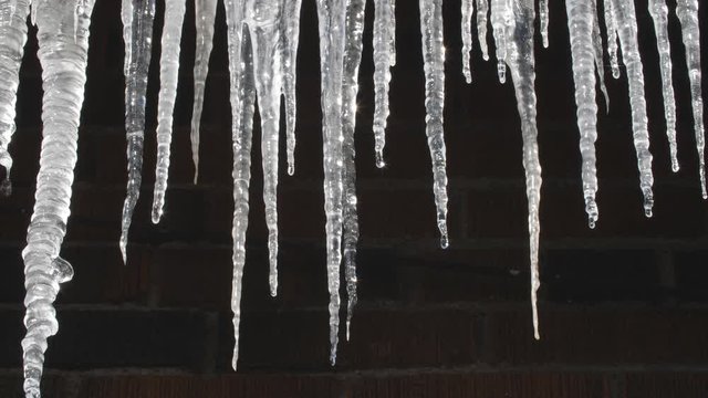 Sunlit dripping icicles on side of house. Brick background.