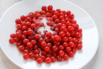 Sour red juicy organic vegetarian viburnum berries with sugar on white porcelain plate with neutral blurred table cloth. Food ingredients for souce or dip