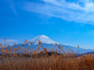 Fototapeta premium Fuji mountain background,Japan