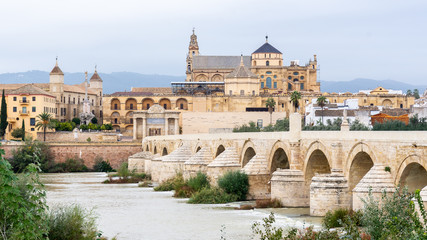 Fototapeta na wymiar Roman bridge of Cordoba with the cathedral mosque in the background