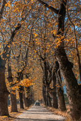 Autumn color at Dudakli, Bursa