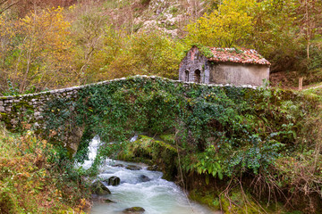 Paisaje de otoño con puente de piedra en Cabrales, Asturias