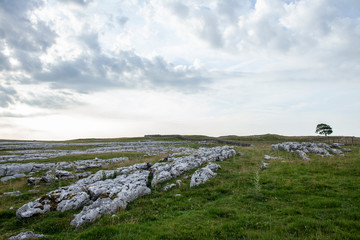 Limestone Grykes above Malham in the Yorkshire Dales National Park - 233583548